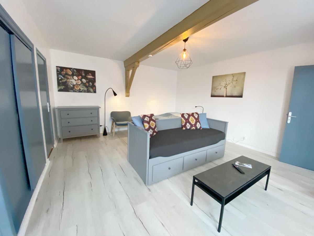 015 Chic & Cosy Studio 41M2 Hypercentre Wifi Smart Tv Netflix Сент-Этьен Экстерьер фото