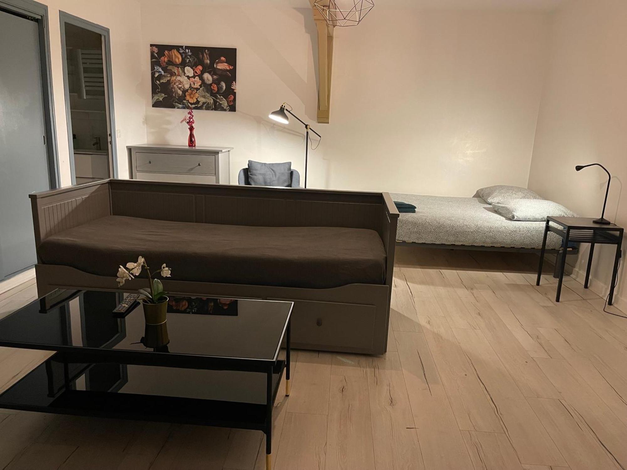 015 Chic & Cosy Studio 41M2 Hypercentre Wifi Smart Tv Netflix Сент-Этьен Экстерьер фото